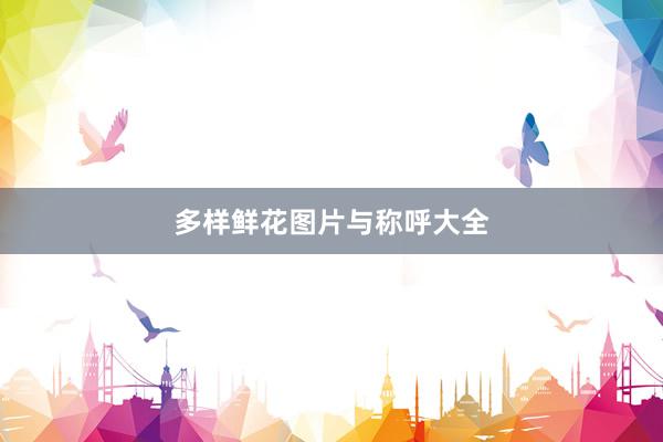 多样鲜花图片与称呼大全